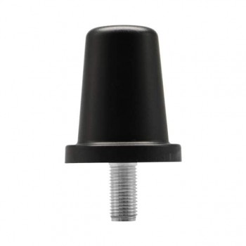 08-ANT-0952-BL-C