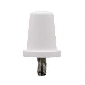 08-ANT-0952-WH-C