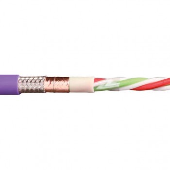 CFBUS-035
