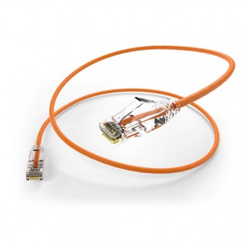 CS6A-01F-ORG