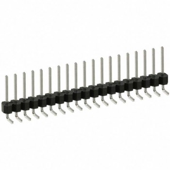 PEC19SGAN