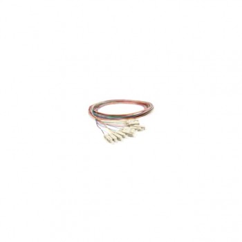 PIG-003-L-F-09-S-S