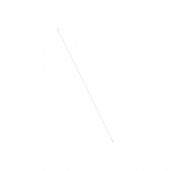 R-1CS
