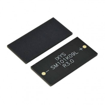 SM101K07L