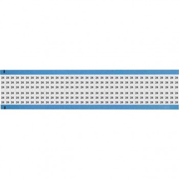 WM-24-SC-PK