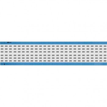 WM-243-SC-PK