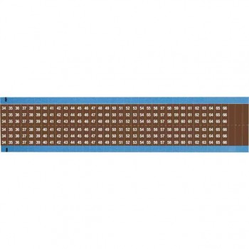 WM-34-66-BR-SC-PK