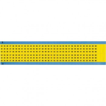 WM-34-66-YL-SC-PK