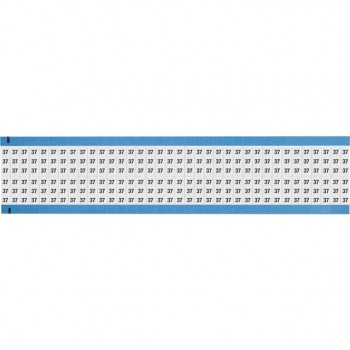 WM-37-SC-PK