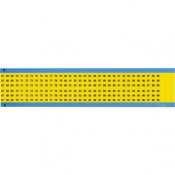 WM-67-99-YL-SC-PK